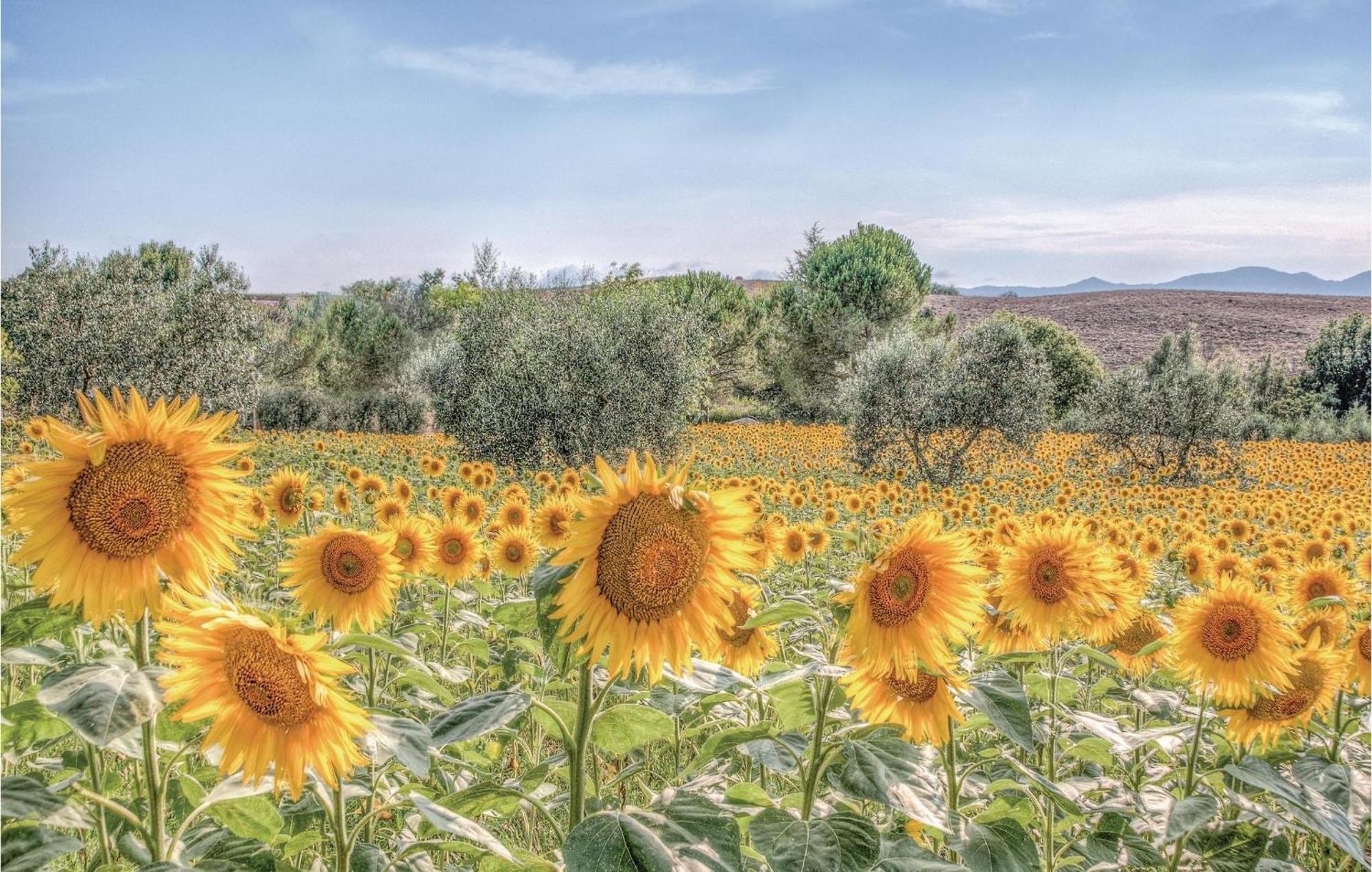 Villa Ploner Lari Dış mekan fotoğraf